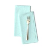 Solid Linen in Light Aqua