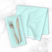 Solid Linen in Light Aqua