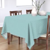 Aquamarine Solid Linen