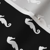 Black And White Seahorses