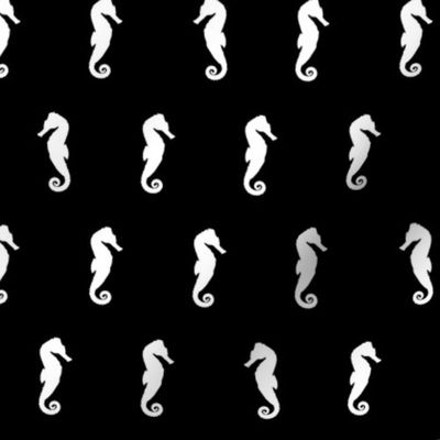 Black And White Seahorses