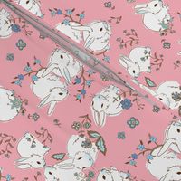 White bunnies with pink