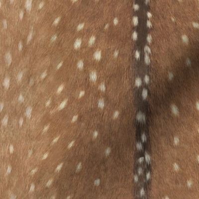 Deer Hide Fabric and Wallpaper