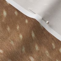 Deer Hide Fabric and Wallpaper