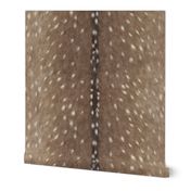 Deer Hide Fabric and Wallpaper in Taupe