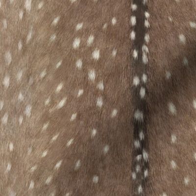 Deer Hide Fabric and Wallpaper in Taupe