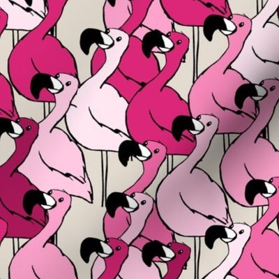 Pink Flamingos