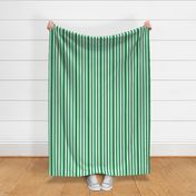 Green And White Stripes