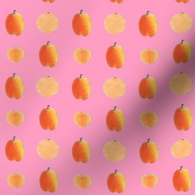 Chickie's fruits on bright pink - ELH