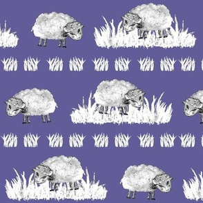 SOFT AS A CLOUD SHEEP Field BW on Lilac Blue