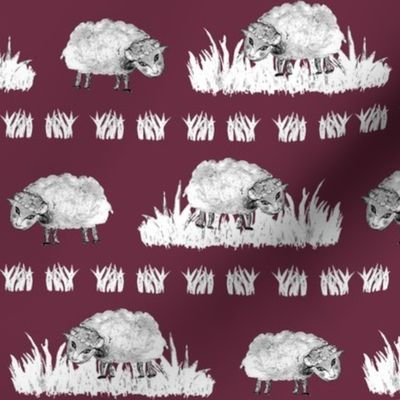 SOFT AS A CLOUD SHEEP Field BW on Burgundy Red