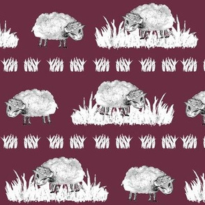 SOFT AS A CLOUD SHEEP Field BW on Burgundy Red