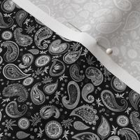 420 Hiphop Paisley White on Black (R)