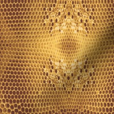 beeswax