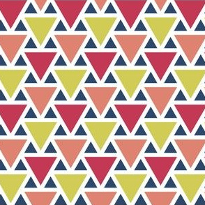 03894181 : triangle2to1 : spoonflower0166