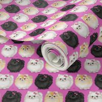 Pomeranians Pink Small Print