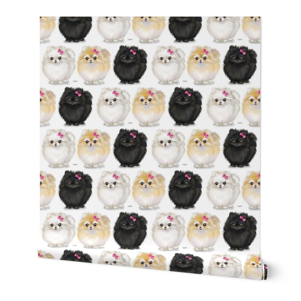 Pomeranians white Small Print