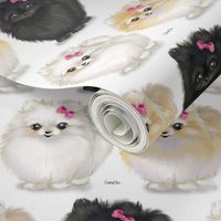 Pomeranians white Small Print