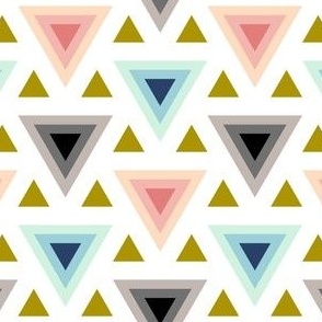 03899490 : triangle2to1 : trendy1