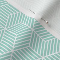 03900069 : chevron6 : mint