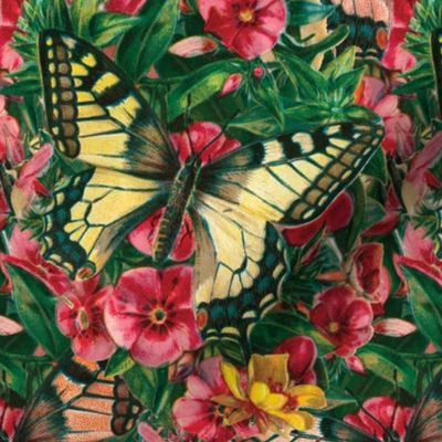 Butterfly Floral