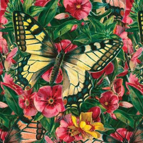 Butterfly Floral