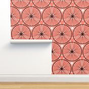 03901605 : wheels : coral