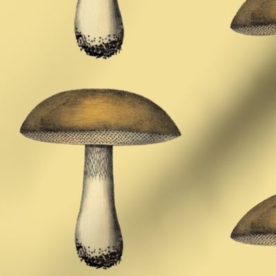 Mushroom | 6" Repeat