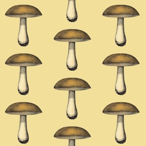 Mushroom | 6" Repeat
