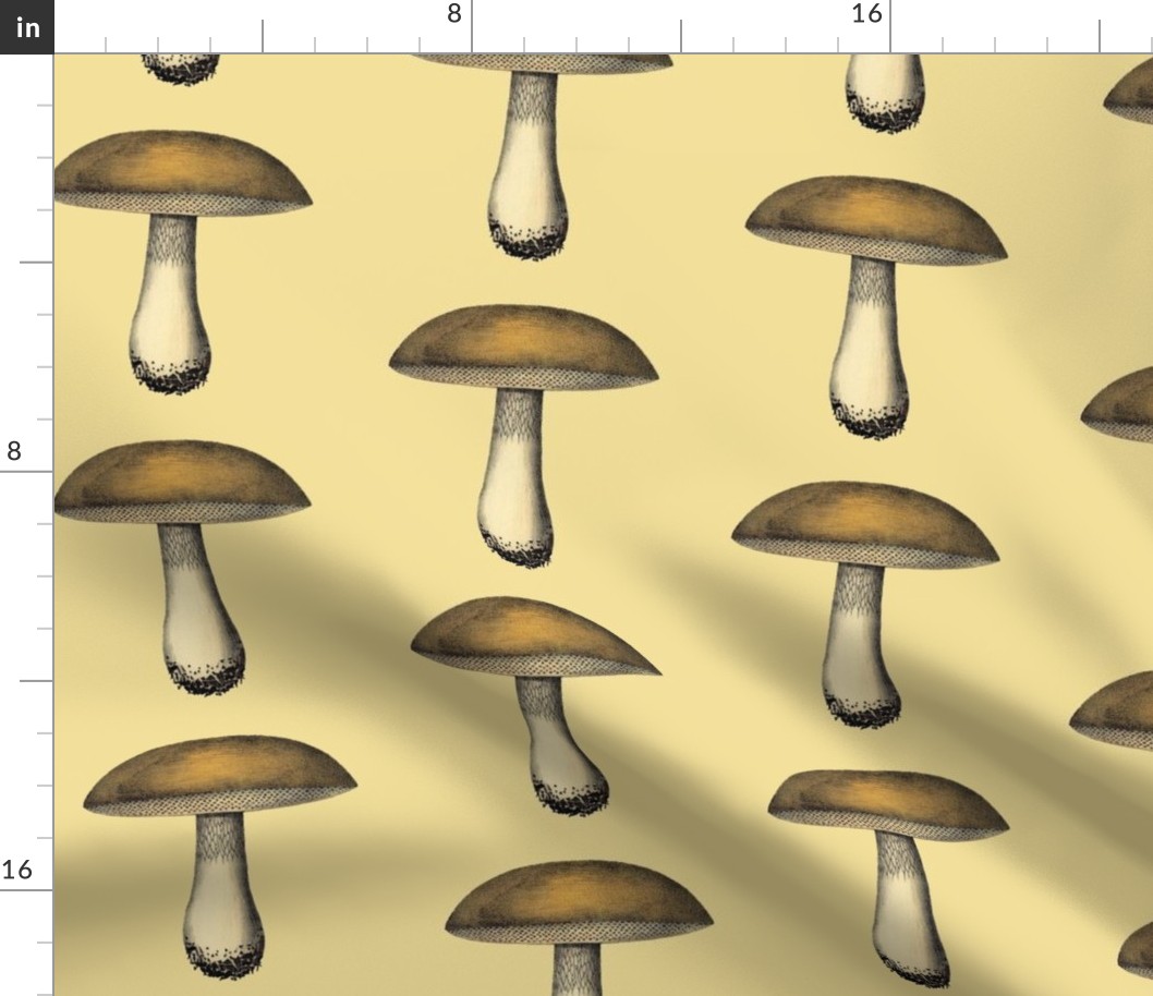 Mushroom | 6" Repeat