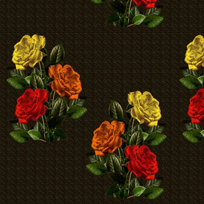 red orange yellow roses