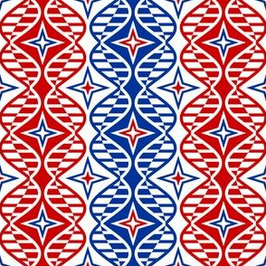 03908628 : DNA patriot