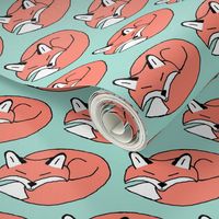 Mint and Coral Sleeping Fox