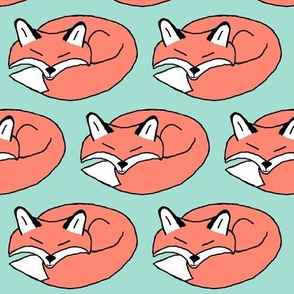 Mint and Coral Sleeping Fox