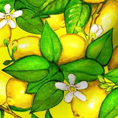 Lemon Tree