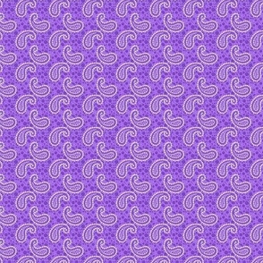 ditsy paisely purple