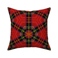  Off Kilter ~ Royal Stewart Tartan ~ Patrick