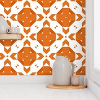 Funky Geometric ~ Many Oranges