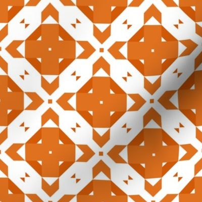 Funky Geometric ~ Many Oranges