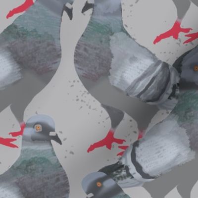 Pigeons