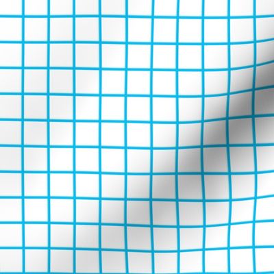 3/4" Blue Grid Paper Print