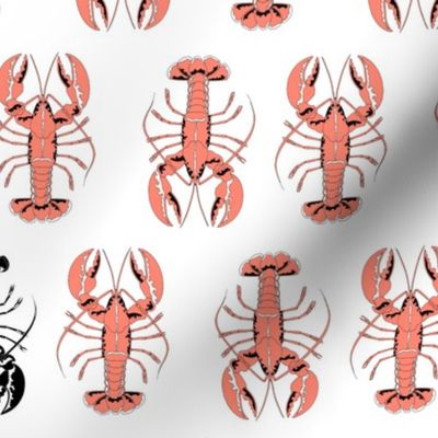 Mint-coral Lobsters