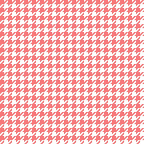 houndstooth coral