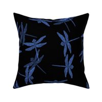 dragonfly tombo blue on black