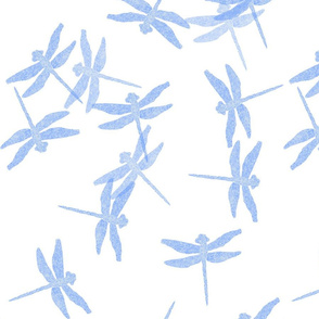 dragonfly tombo blue on white