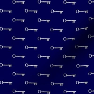 Book Cover Keys on Dark Blue