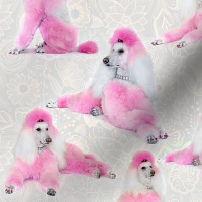 Pink Poodles