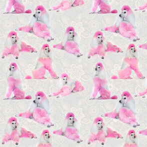 Pink Poodles