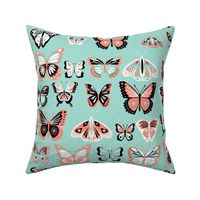 fly_buterfly_coral_and_mint