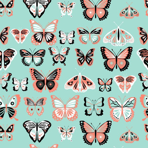 fly_buterfly_coral_and_mint